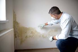  Dumas, TX Mold Inspection Pros